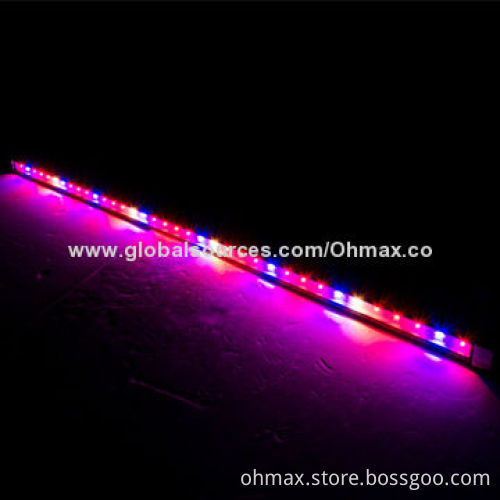 LED Grow Lights, 36W, Best for Commercial Agriculture Growing Lettuce/Cabbage/Leafy Vegetables